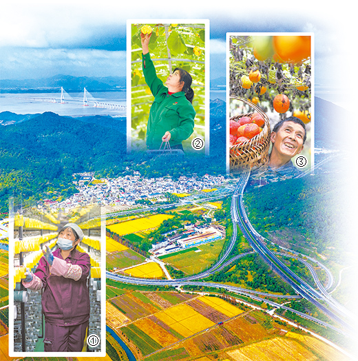 做大“蛋糕”,居民收入节节高(民生共话)