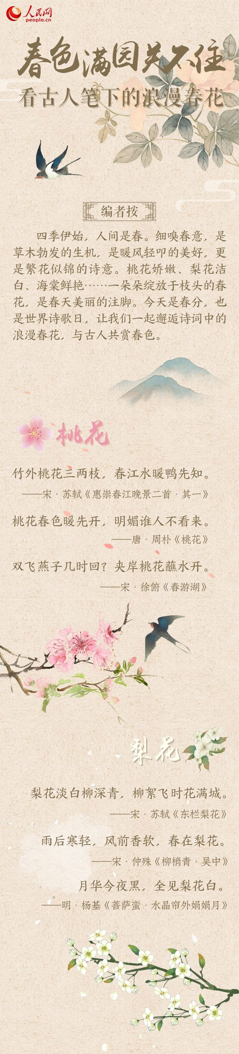 春色满园关不住：看古人笔下的浪漫春花