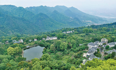 种植盆景 业兴人和(寻找最美乡村・双龙村)