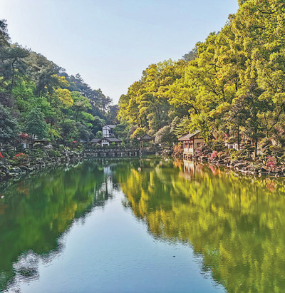 种植盆景 业兴人和(寻找最美乡村・双龙村)