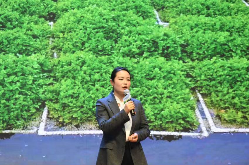 乡土四月天 中国网络媒体论坛走进南京龙尚村