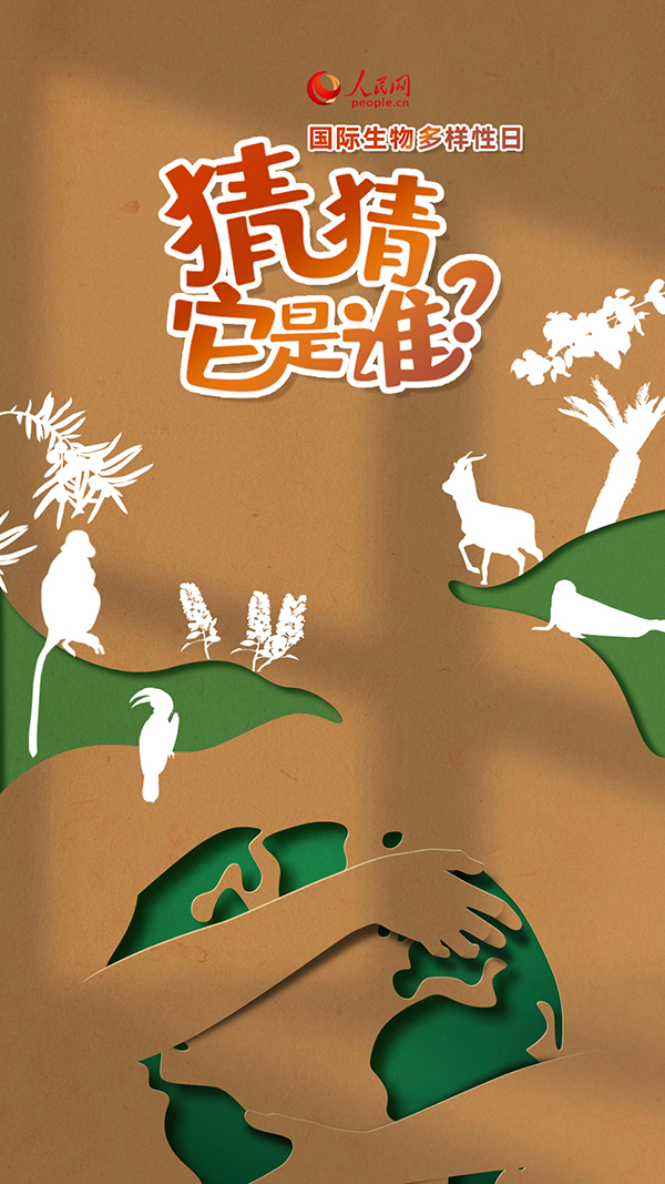 “国际生物多样性日”特别策划|猜猜它是谁？