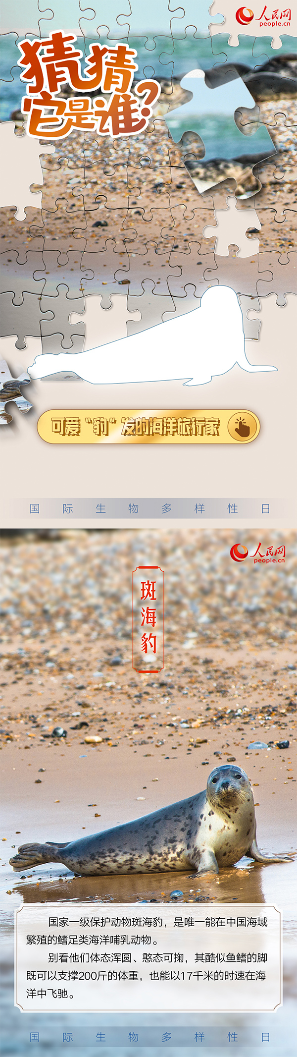 “国际生物多样性日”特别策划 | 猜猜它是谁？