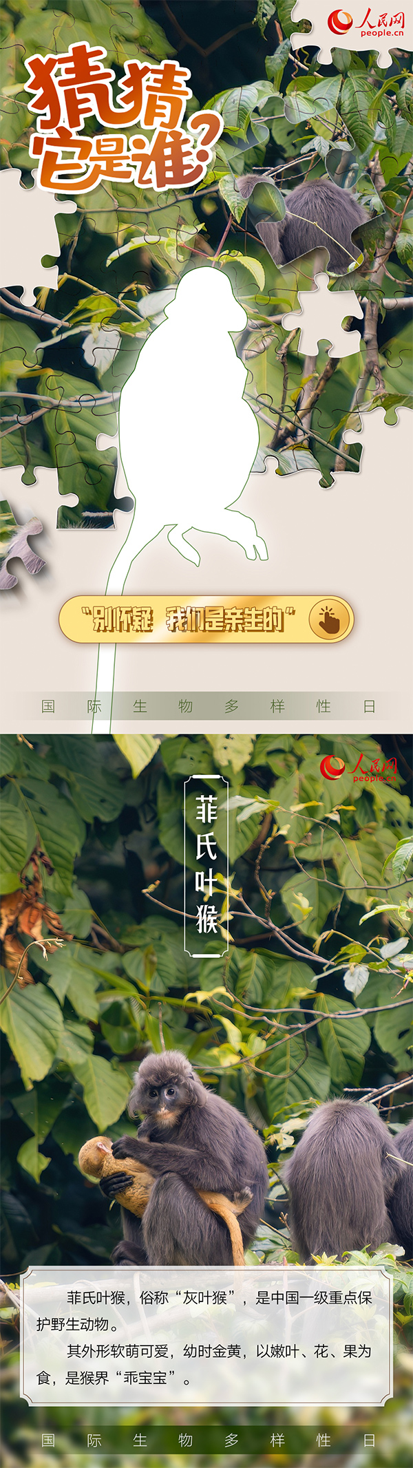 “国际生物多样性日”特别策划 | 猜猜它是谁？