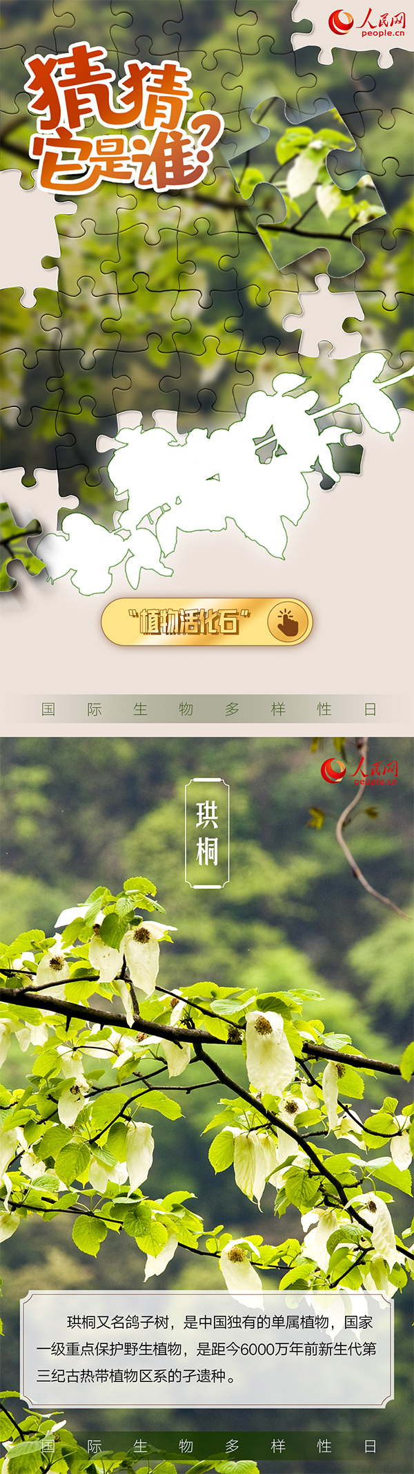 “国际生物多样性日”特别策划 | 猜猜它是谁？