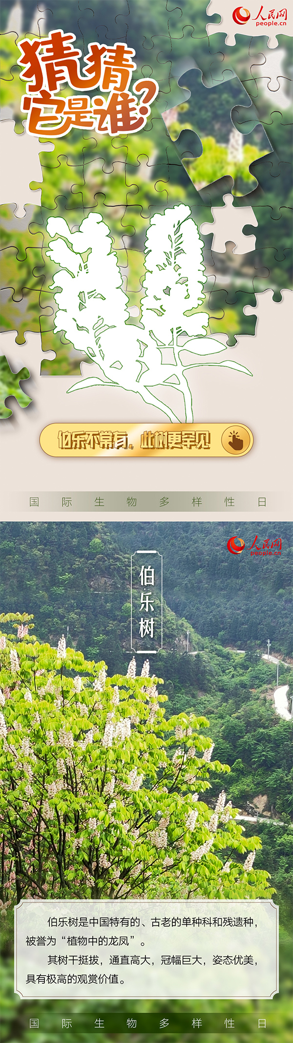 “国际生物多样性日”特别策划 | 猜猜它是谁？