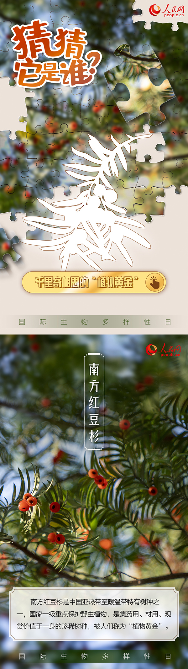 “国际生物多样性日”特别策划 | 猜猜它是谁？
