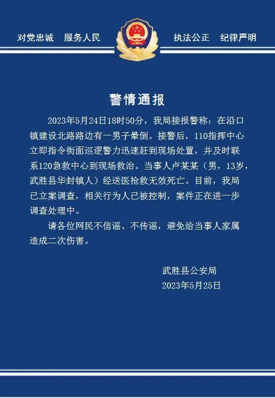 四川武胜警方通报13岁男孩晕倒路边后死亡：相关行为人已被控制