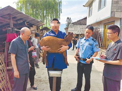 查封活羊 促成和解