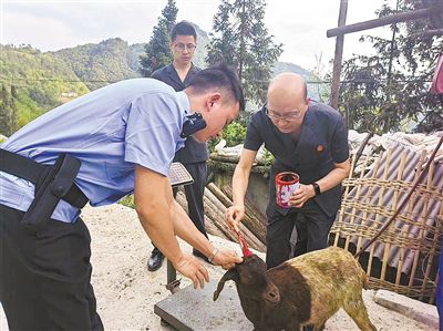 查封活羊 促成和解