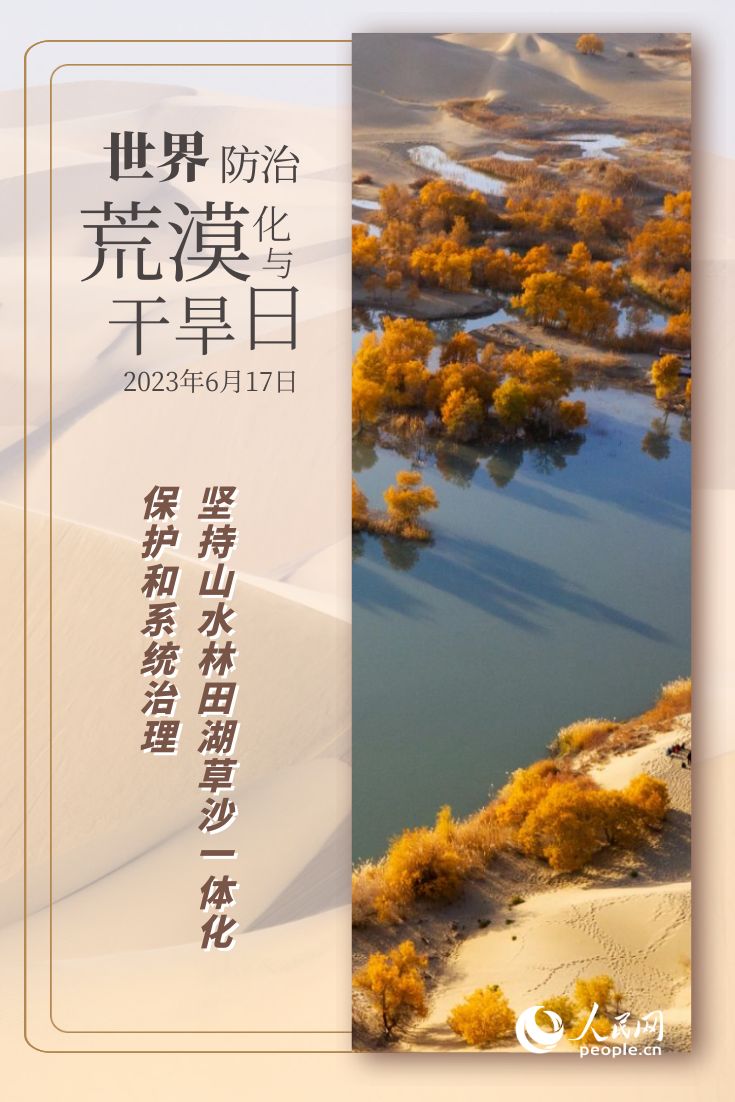 世界防治荒漠化与干旱日 | 防沙治沙的“中国智慧”