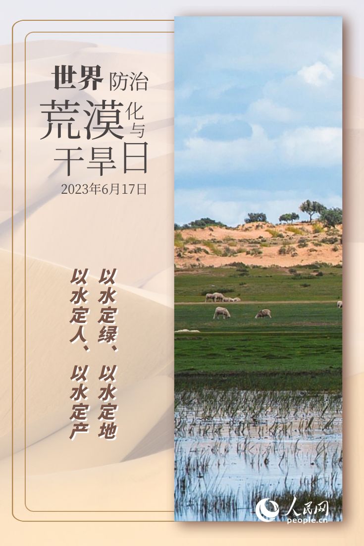 世界防治荒漠化与干旱日 | 防沙治沙的“中国智慧”