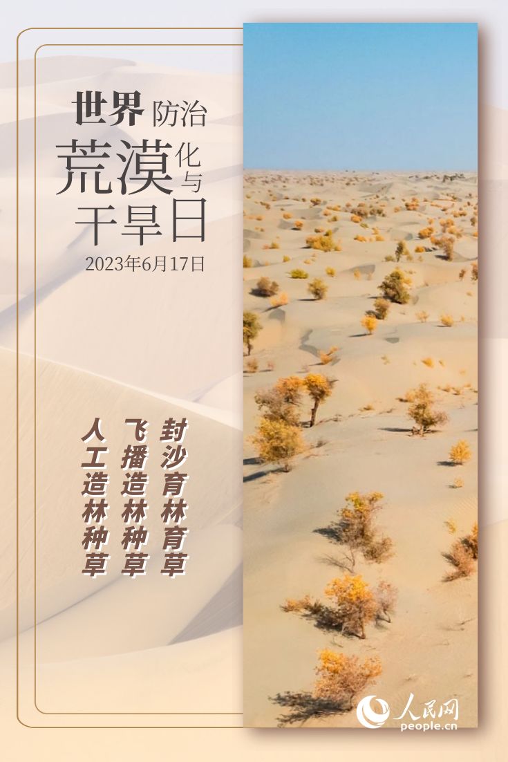 世界防治荒漠化与干旱日 | 防沙治沙的“中国智慧”