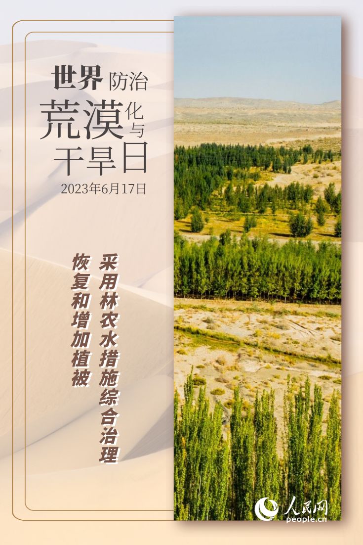 世界防治荒漠化与干旱日 | 防沙治沙的“中国智慧”
