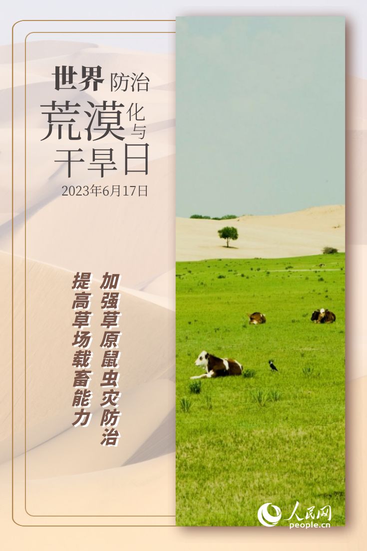 世界防治荒漠化与干旱日 | 防沙治沙的“中国智慧”