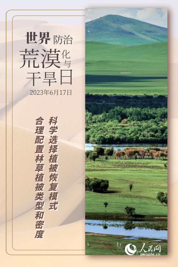 世界防治荒漠化与干旱日 | 防沙治沙的“中国智慧”