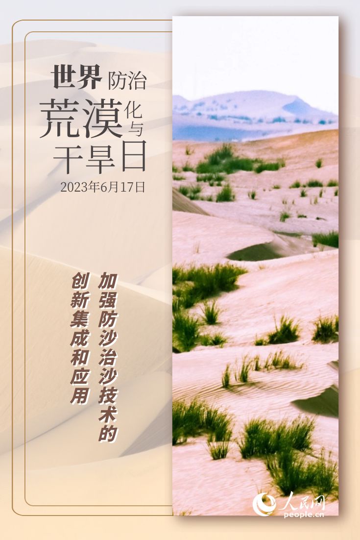 世界防治荒漠化与干旱日 | 防沙治沙的“中国智慧”