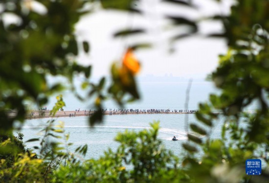 蓬莱海滨旅游热