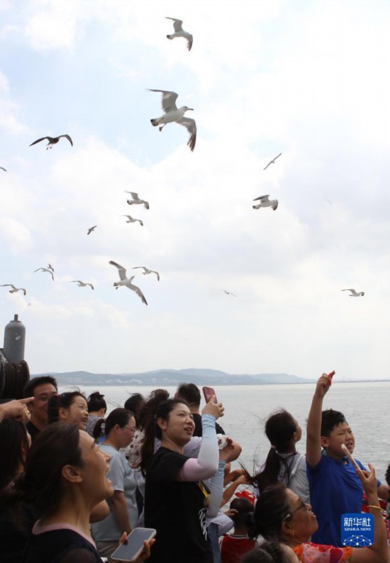 蓬莱海滨旅游热