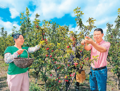 金秋时节喜丰收