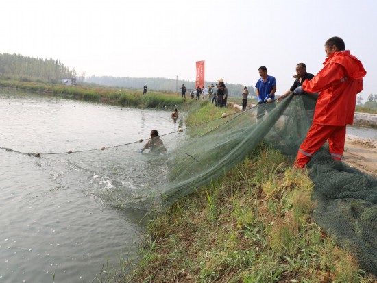 新时代中国调研行・黄河篇丨大地丰收美 蟹肥果飘香――黄河下游秋季见闻