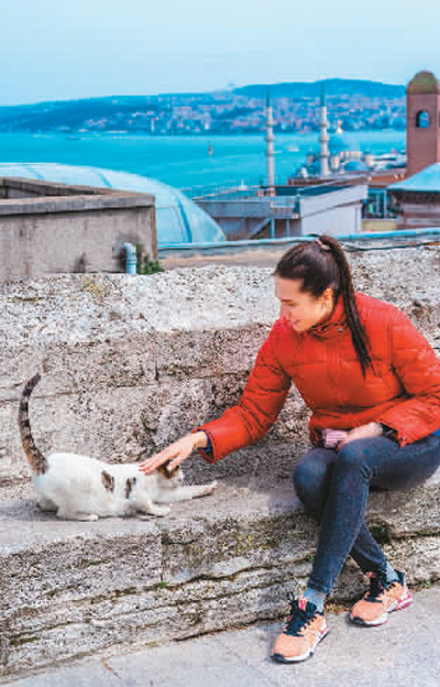 伊斯坦布尔是一座“爱猫之城”（国家人文地理）
